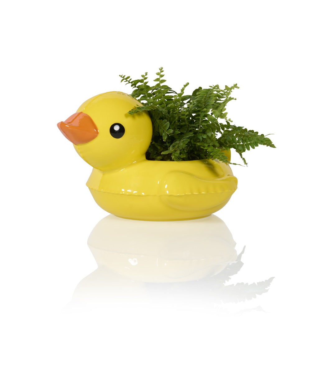 Pot Bouée Canard Flottant