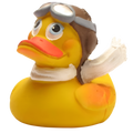 Canard Aviateur