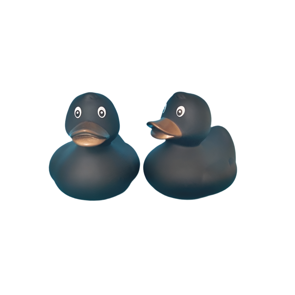 Canard Classique – vue produit 29