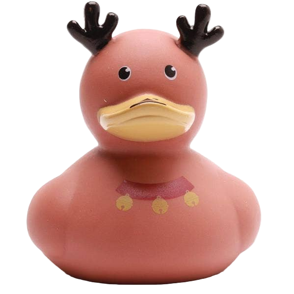 Canard Renne