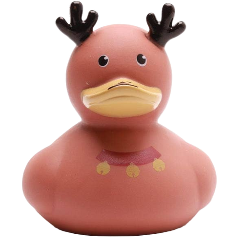 Canard Renne