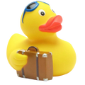 Canard Voyageur