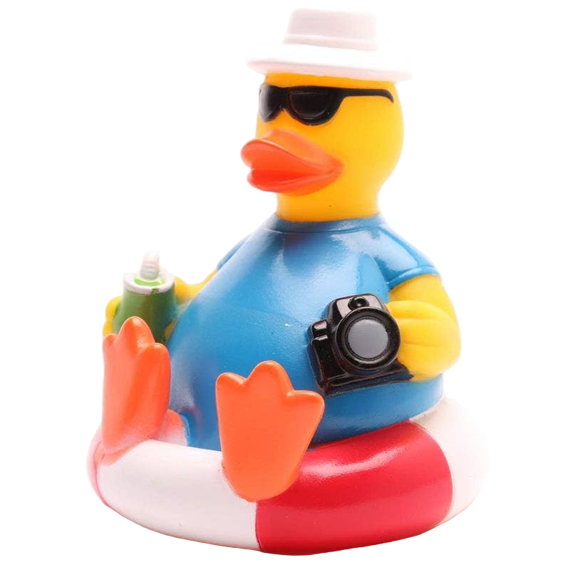 Tourist Duck on a Buoy