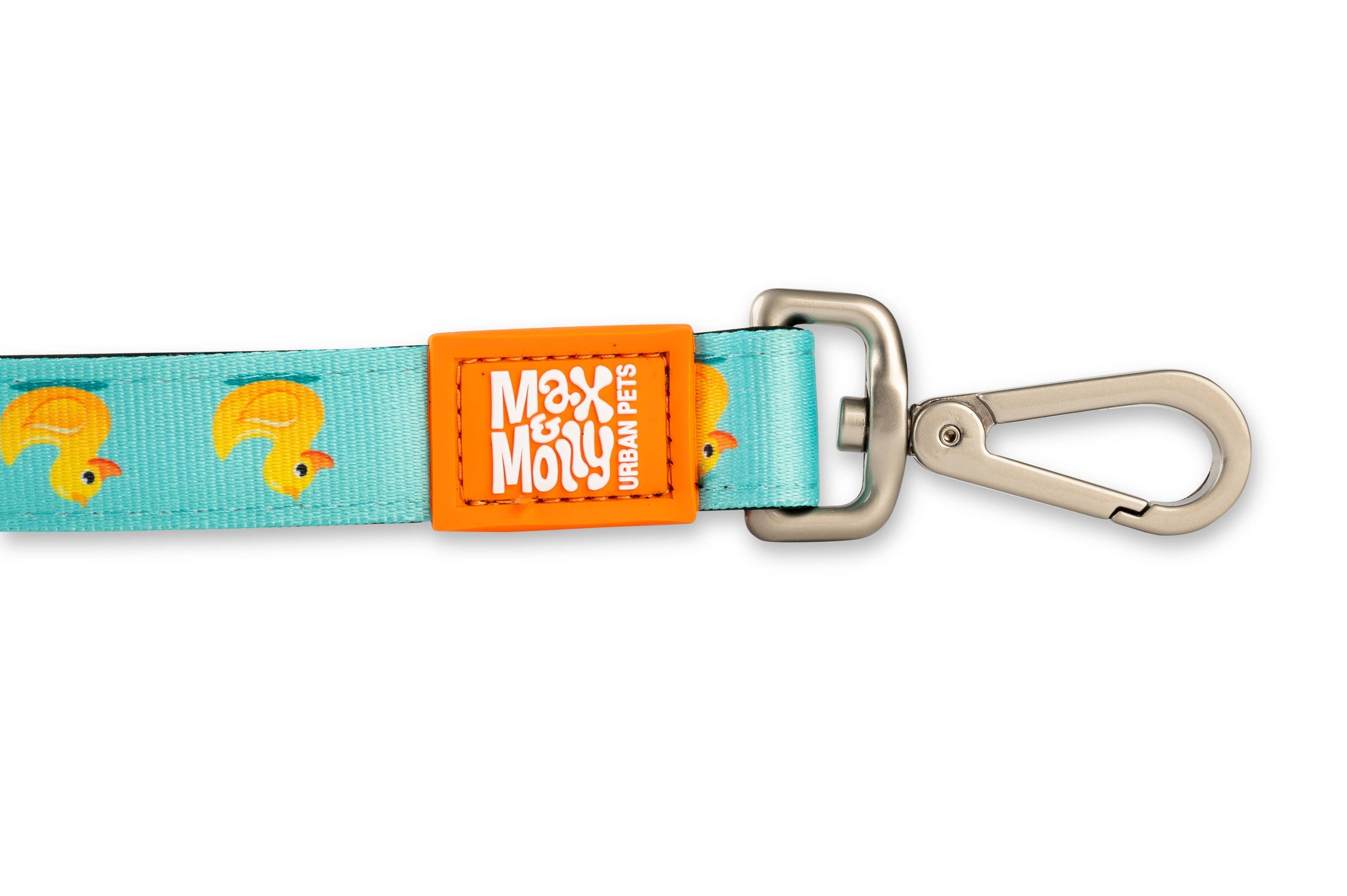 Laisse Courte – Canards