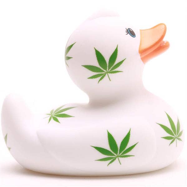 Canard Feuille de chanvre