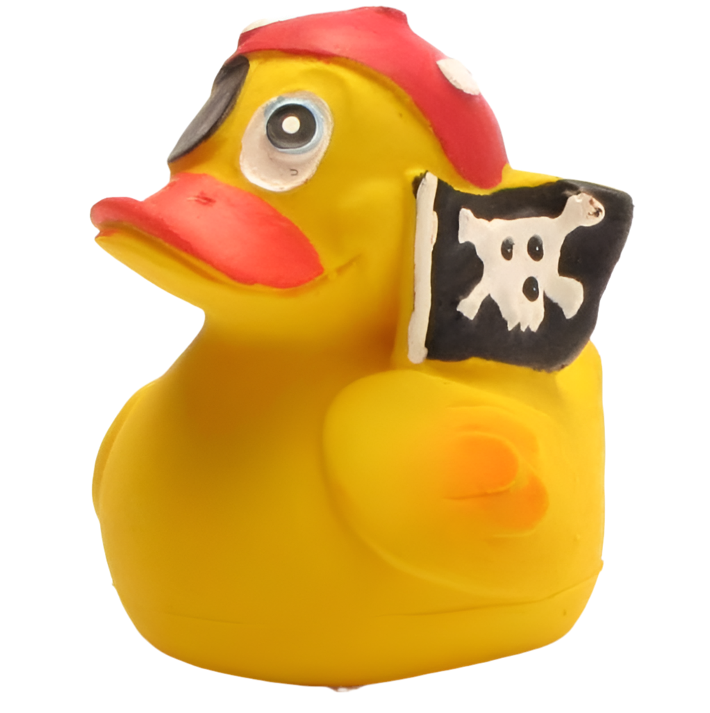 Canard Pirate
