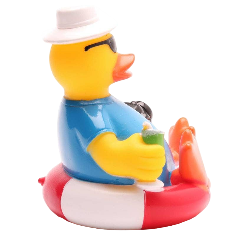 Tourist Duck on a Buoy