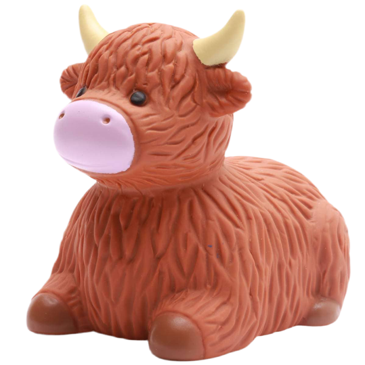 Vache des Highlands de Bain