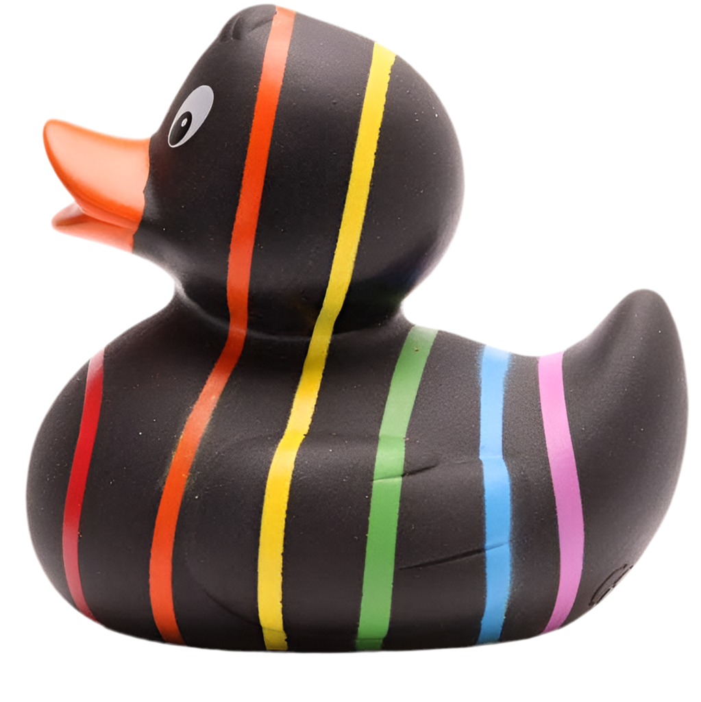 canard classique arc en ciel noir