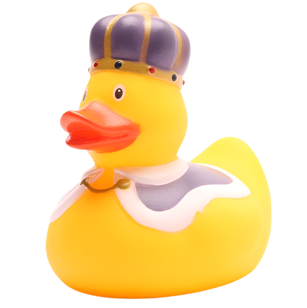 Canard Roi