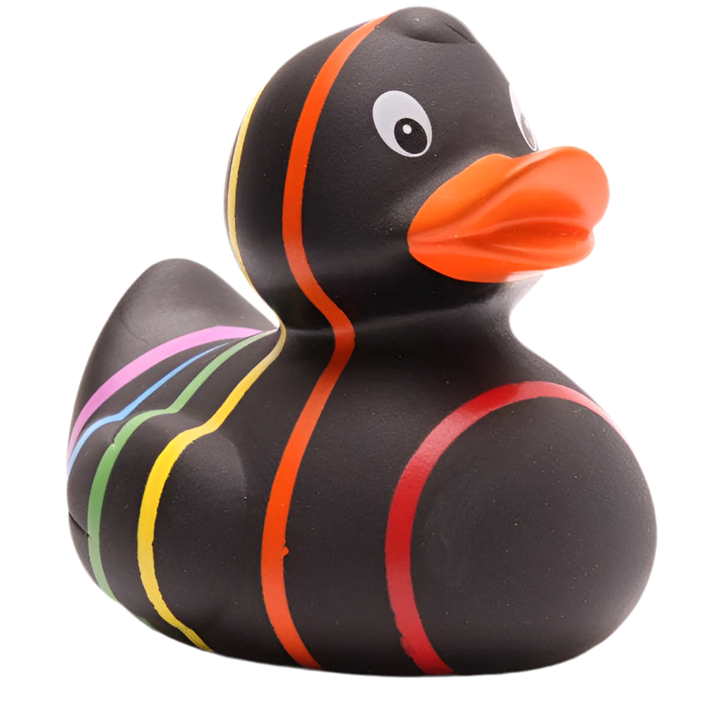 Klassische schwarze Regenbogenente