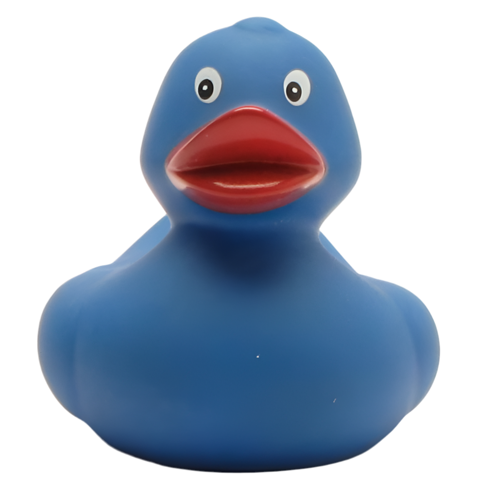 canard classique bleu