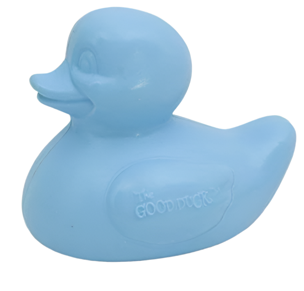 Canard Bleu The Good Duck