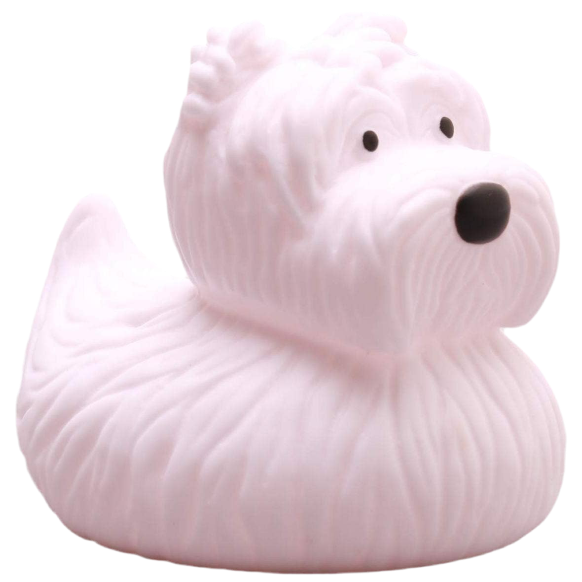 canard terrier ecossais elgate products