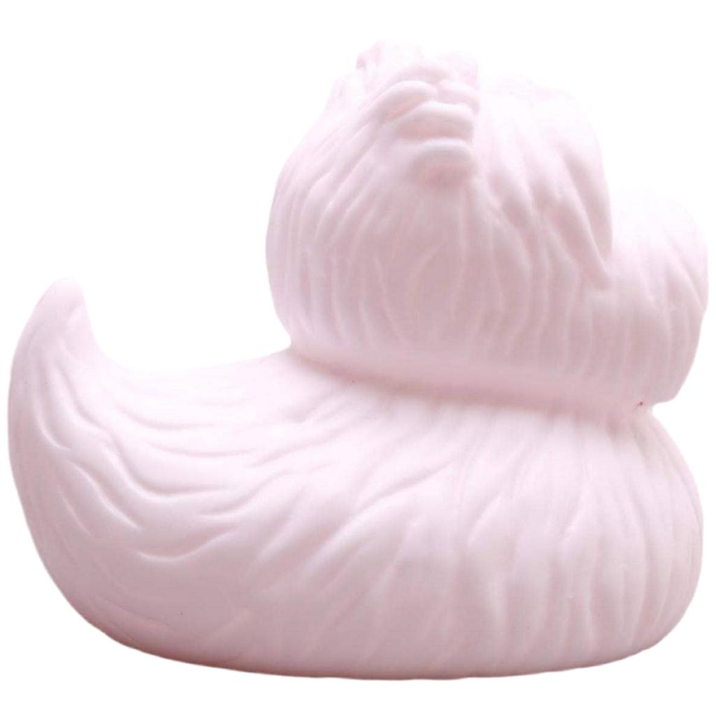 Canard Terrier écossais