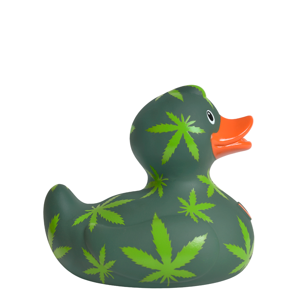 Anatra di cannabis
