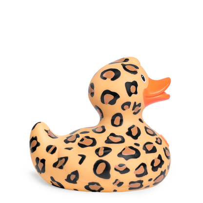 Leopard duck