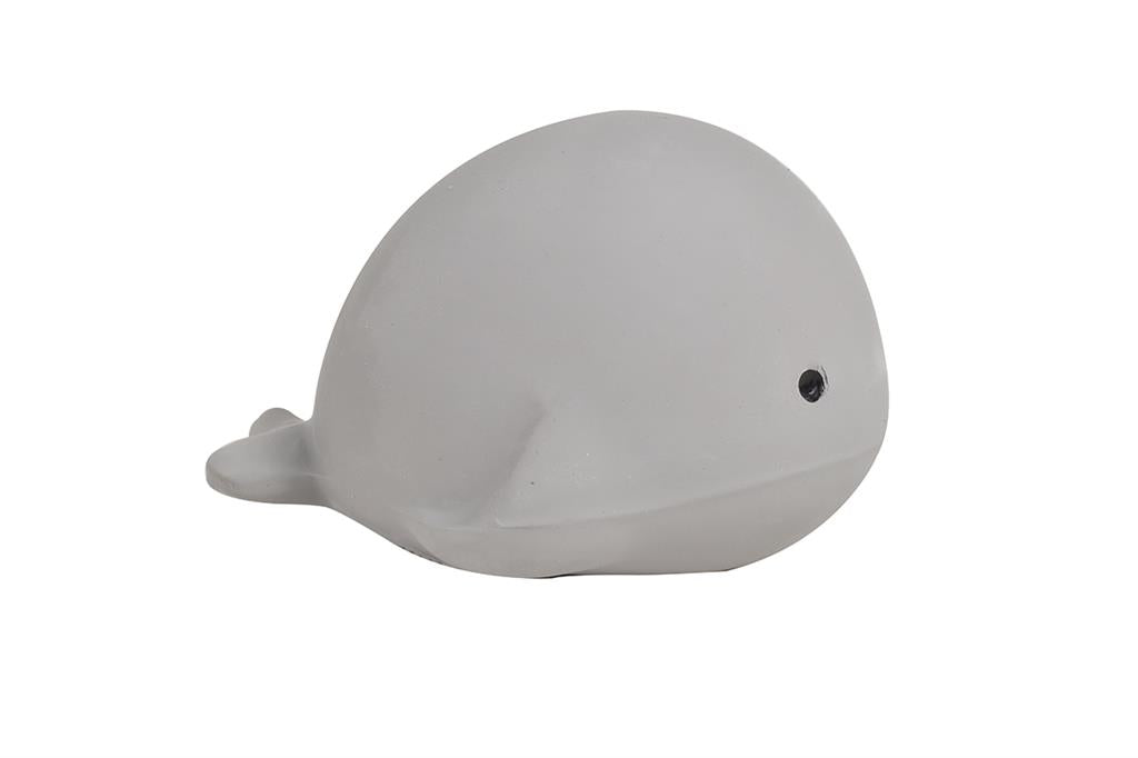 Mon Premier Animal Marin Baleine