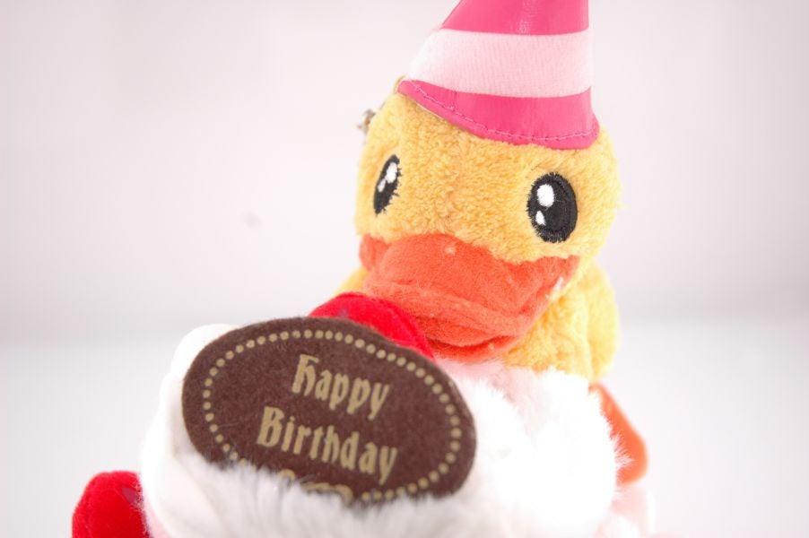 boite-canard-joyeux-anniversaire-b-duck
