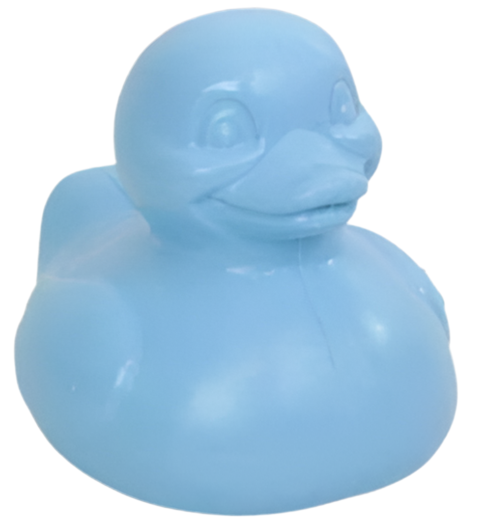 Canard Bleu The Good Duck
