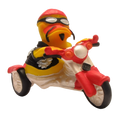 Canard Biker