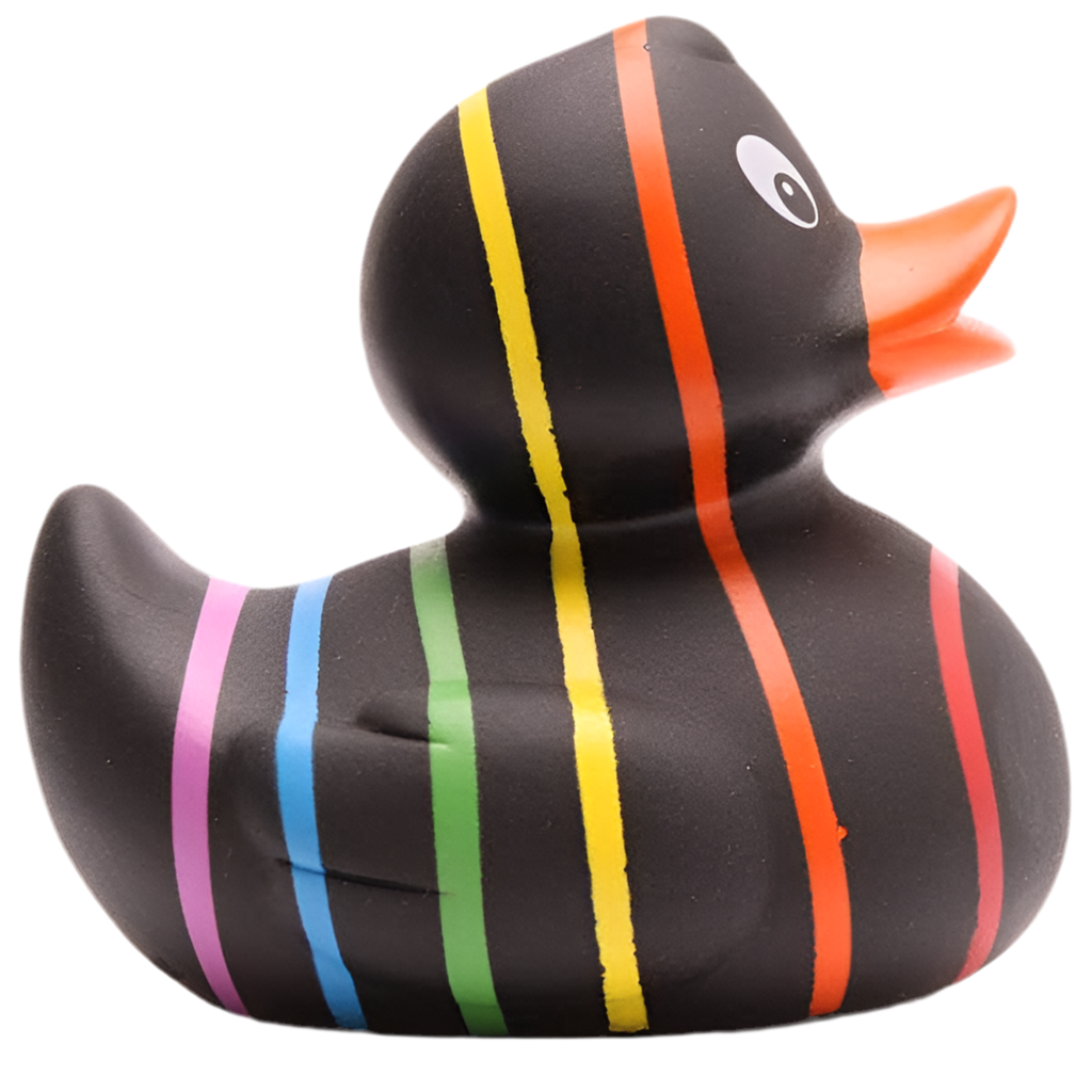 Klassische schwarze Regenbogenente