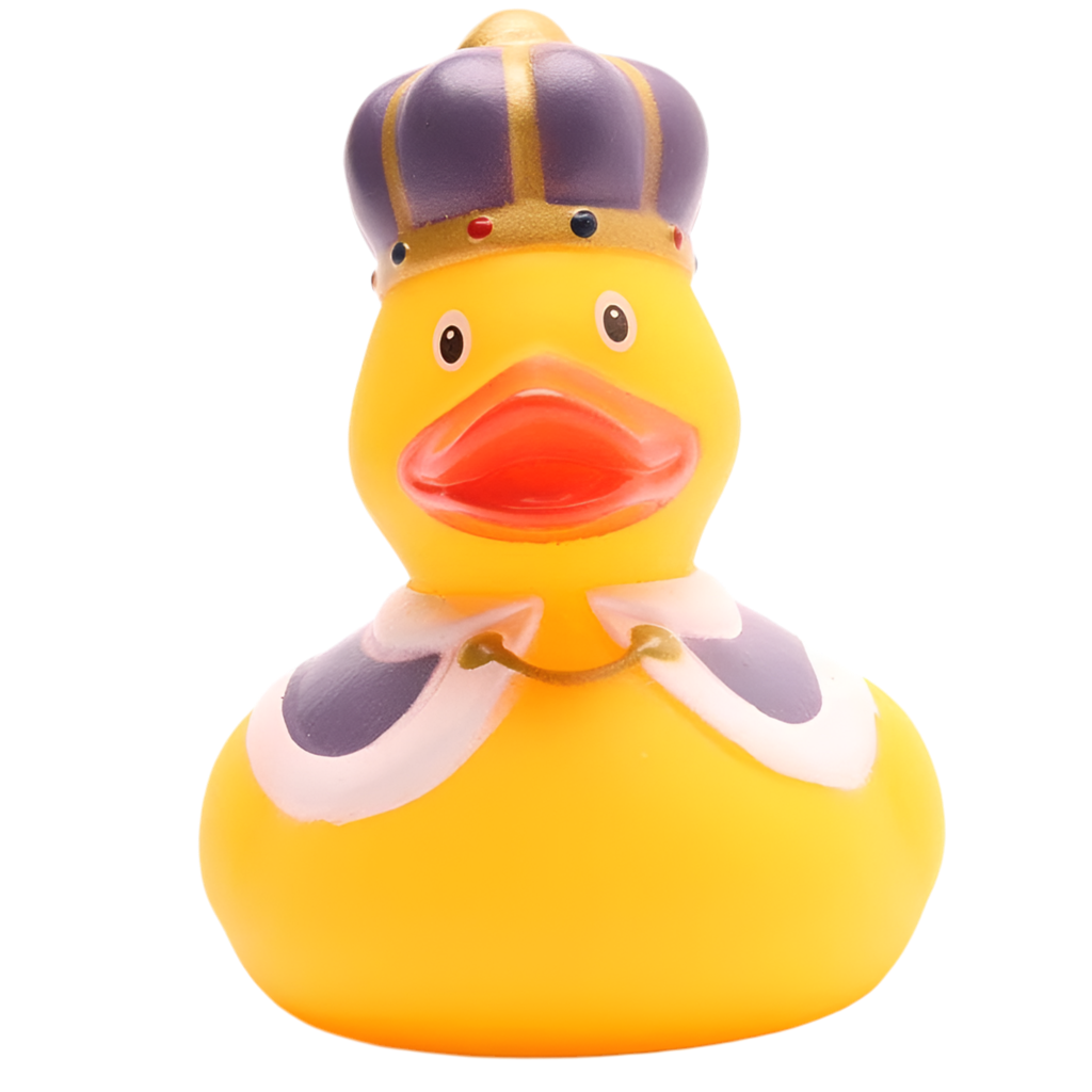 Canard Roi