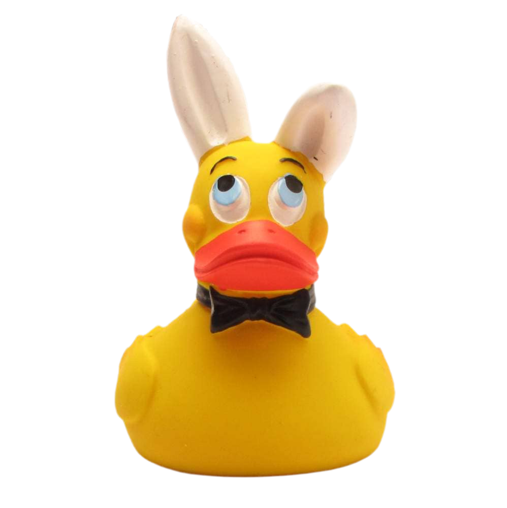 Duck Bunny