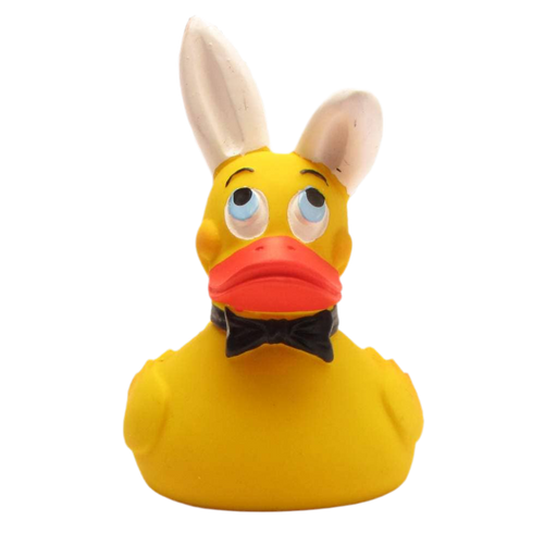 Canard Bunny
