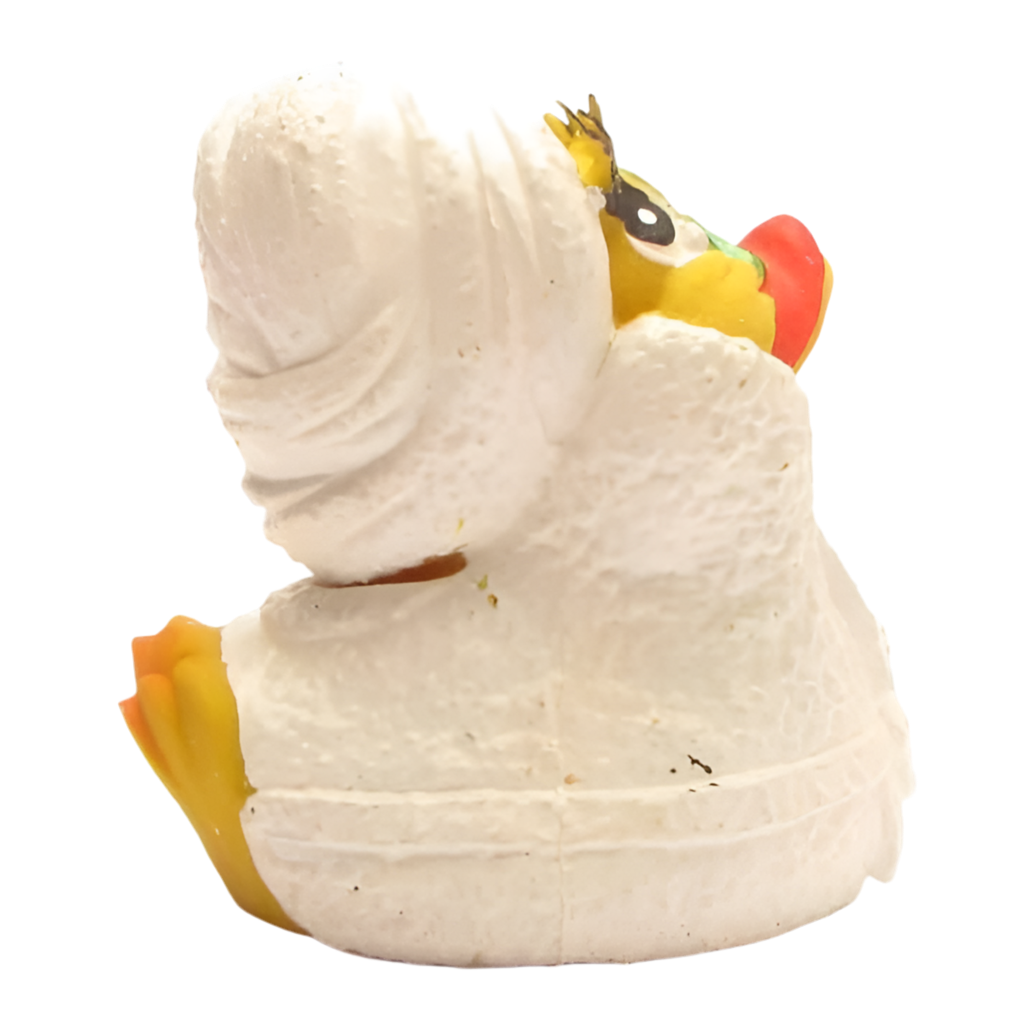 Canard Wellness