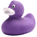 canard classique violet