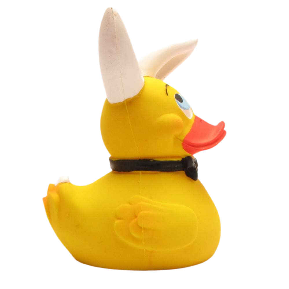 Duck Bunny