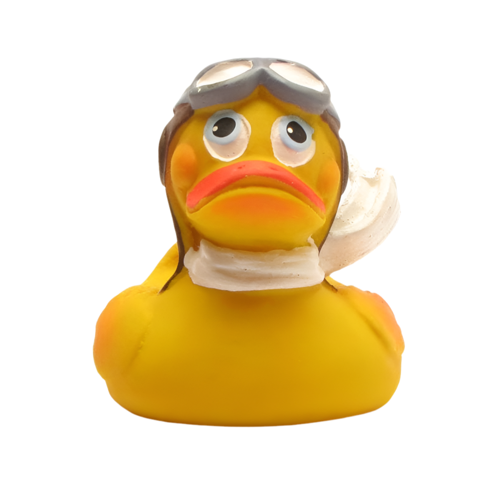Aviator Duck