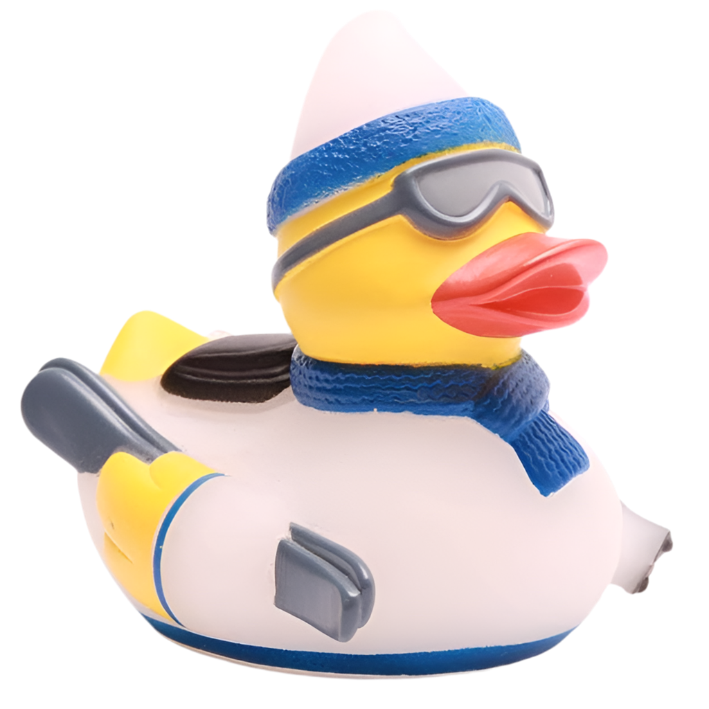 Canard Skieur Bleu