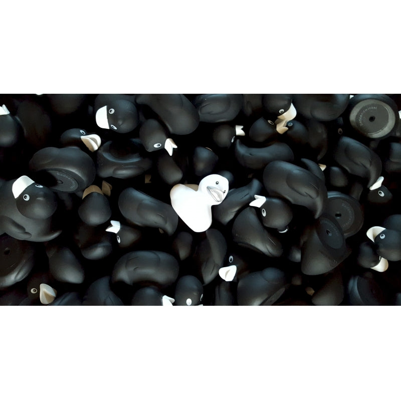 canard-original-blanc