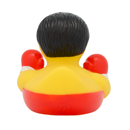 Boxing duck