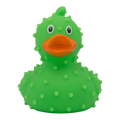 canard-cactus-lilalu