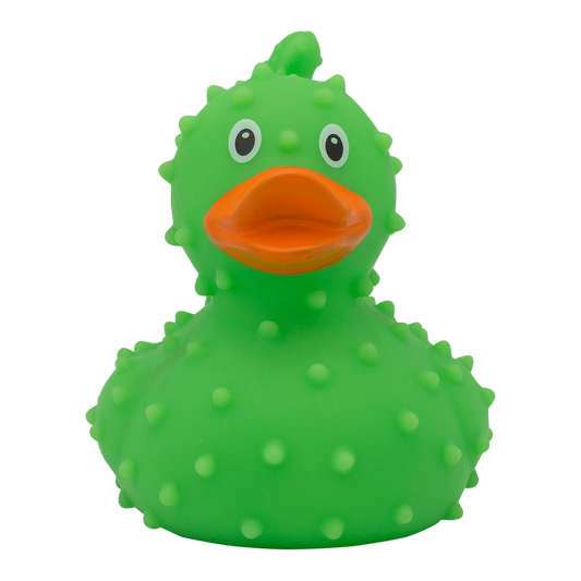 Cactus Duck.