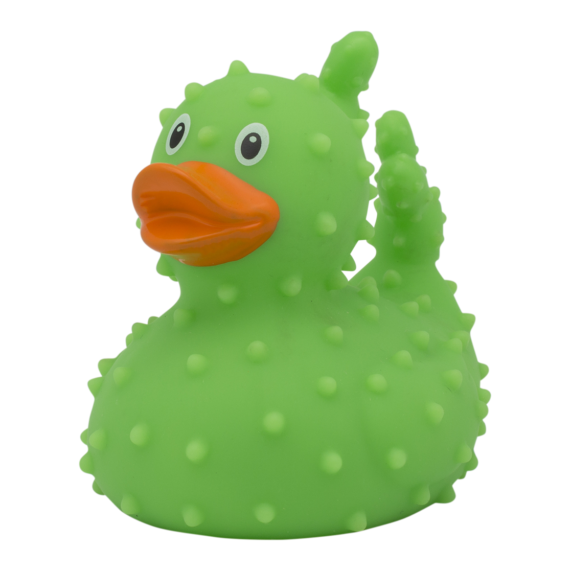 Duck cactus