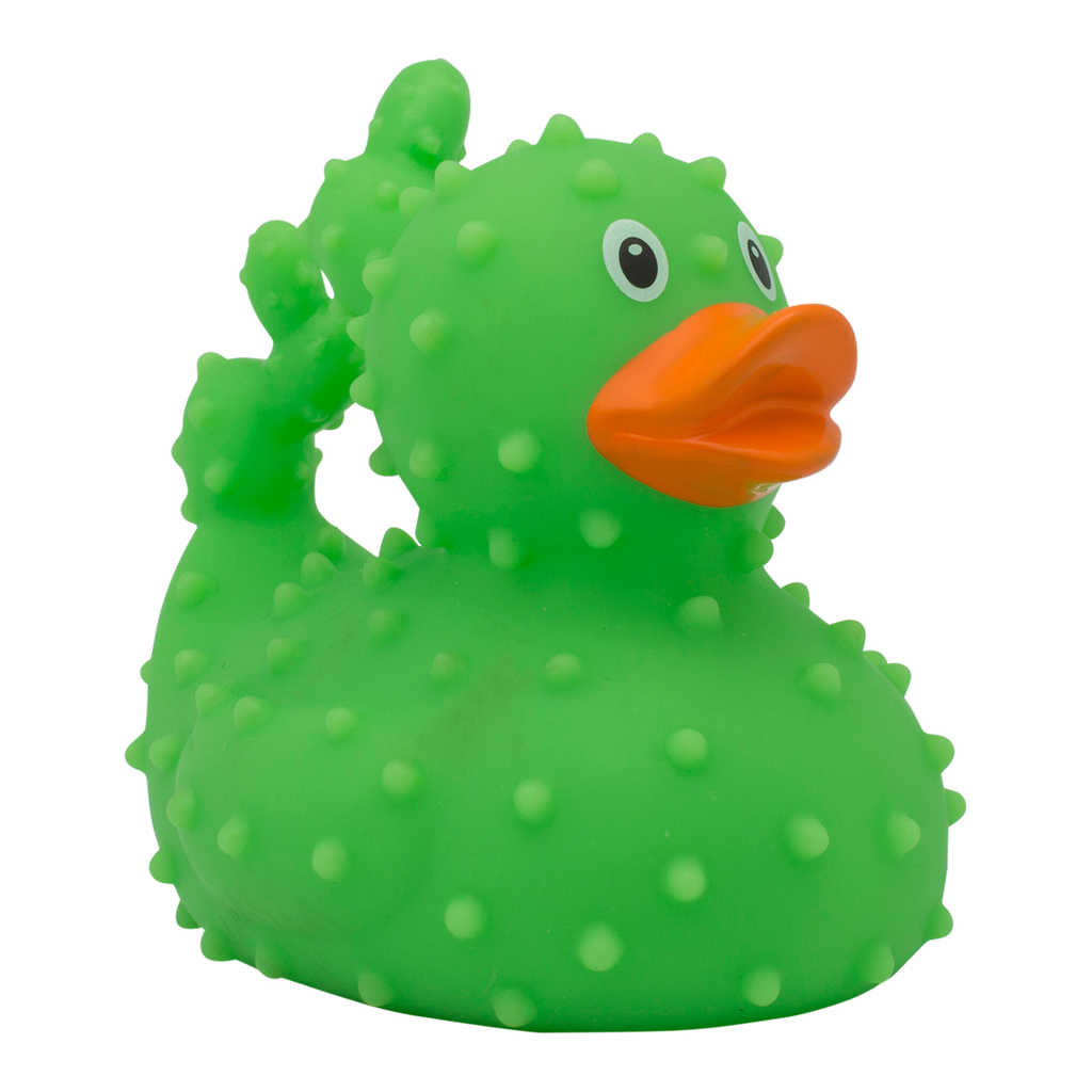 canard-cactus-lilalu