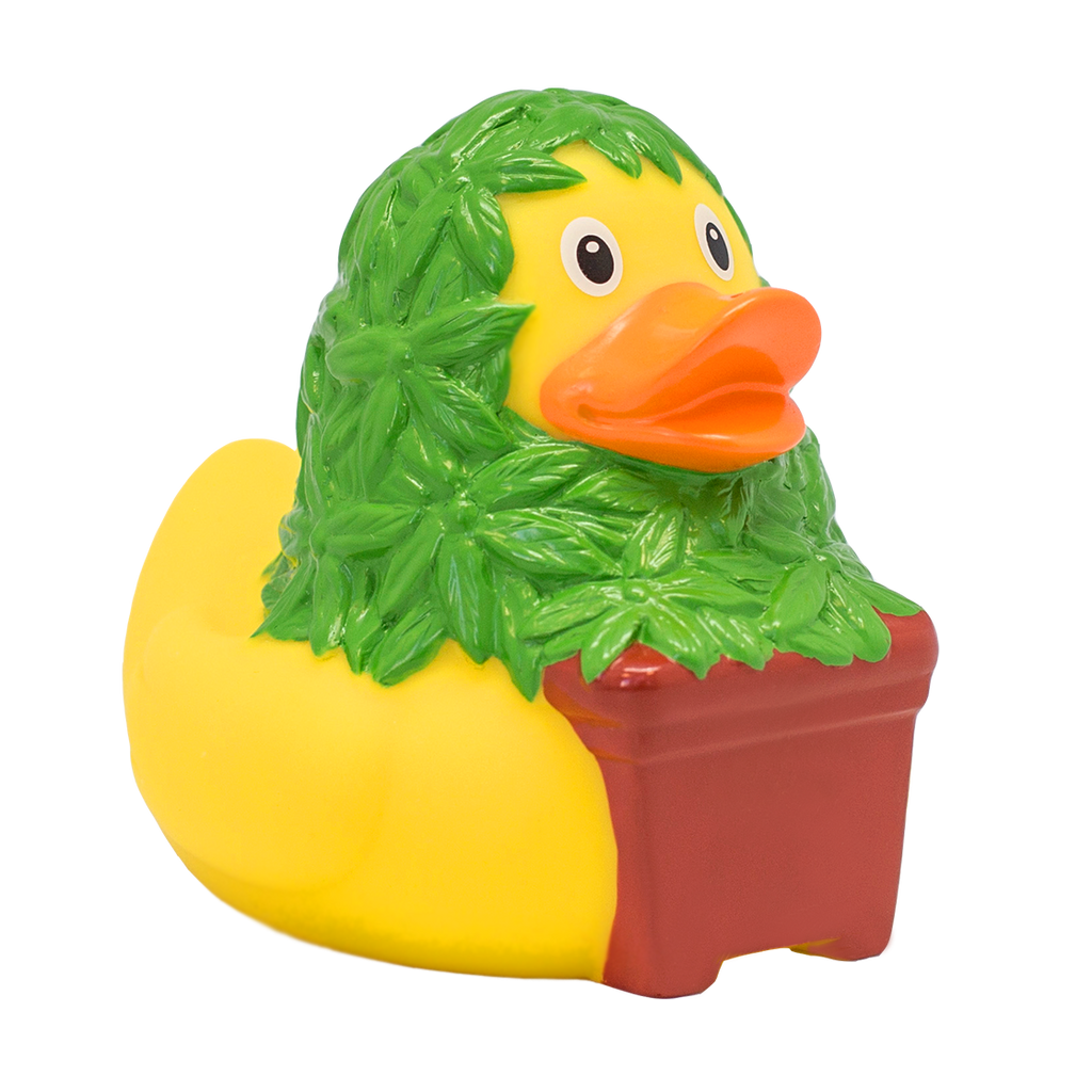 canard-cannabis-lilalu