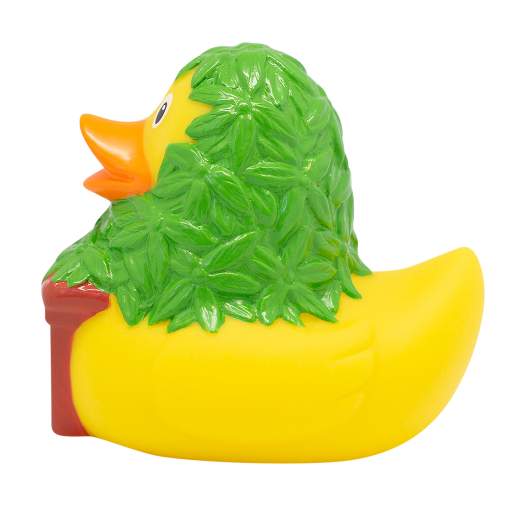 canard-cannabis-lilalu