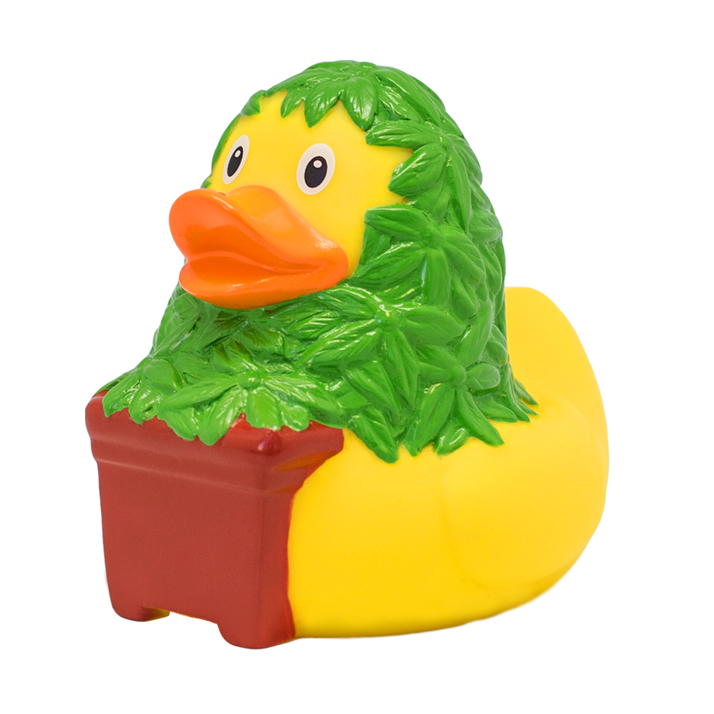 canard-cannabis-lilalu