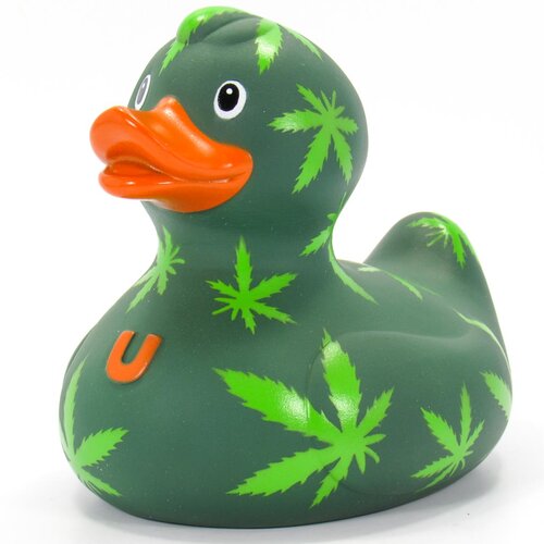 Anatra di cannabis
