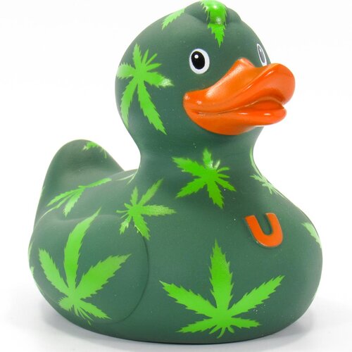 Anatra di cannabis