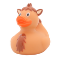 Camel duck