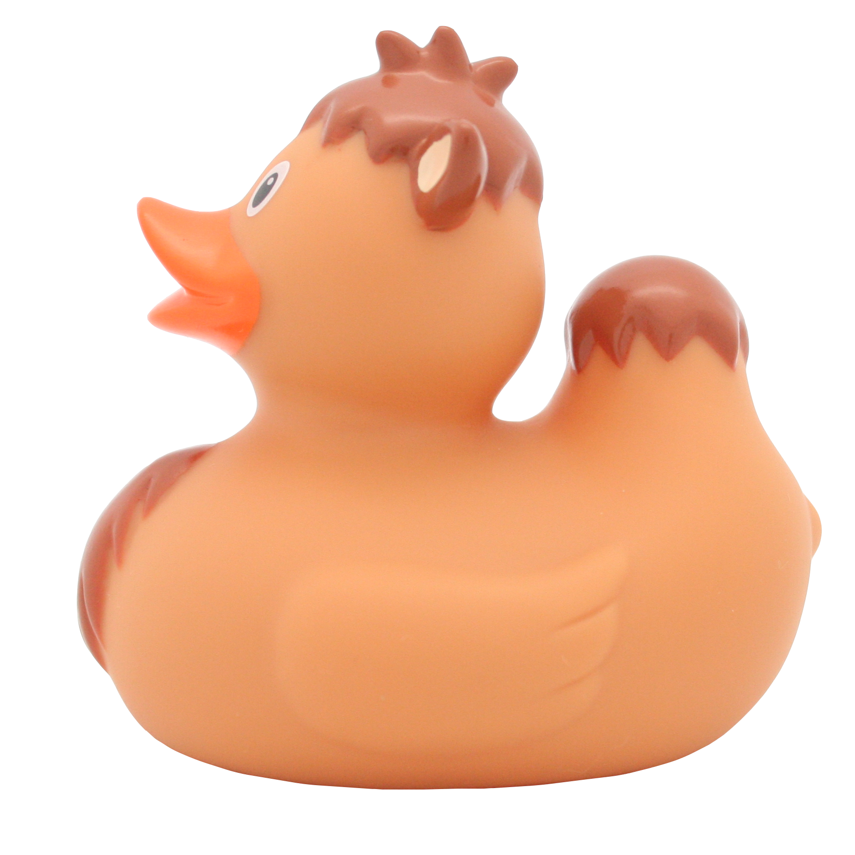 Kaczka wielbłądowa.