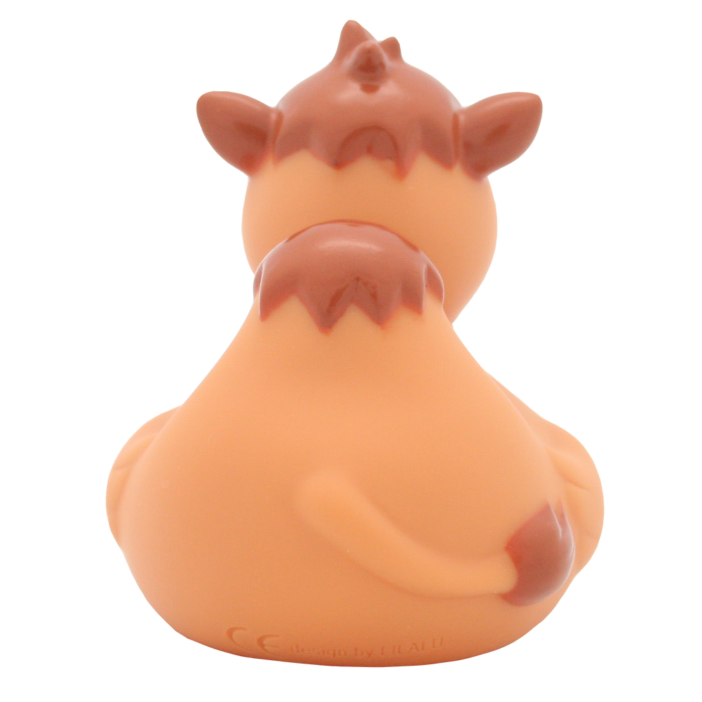 Kaczka wielbłądowa.