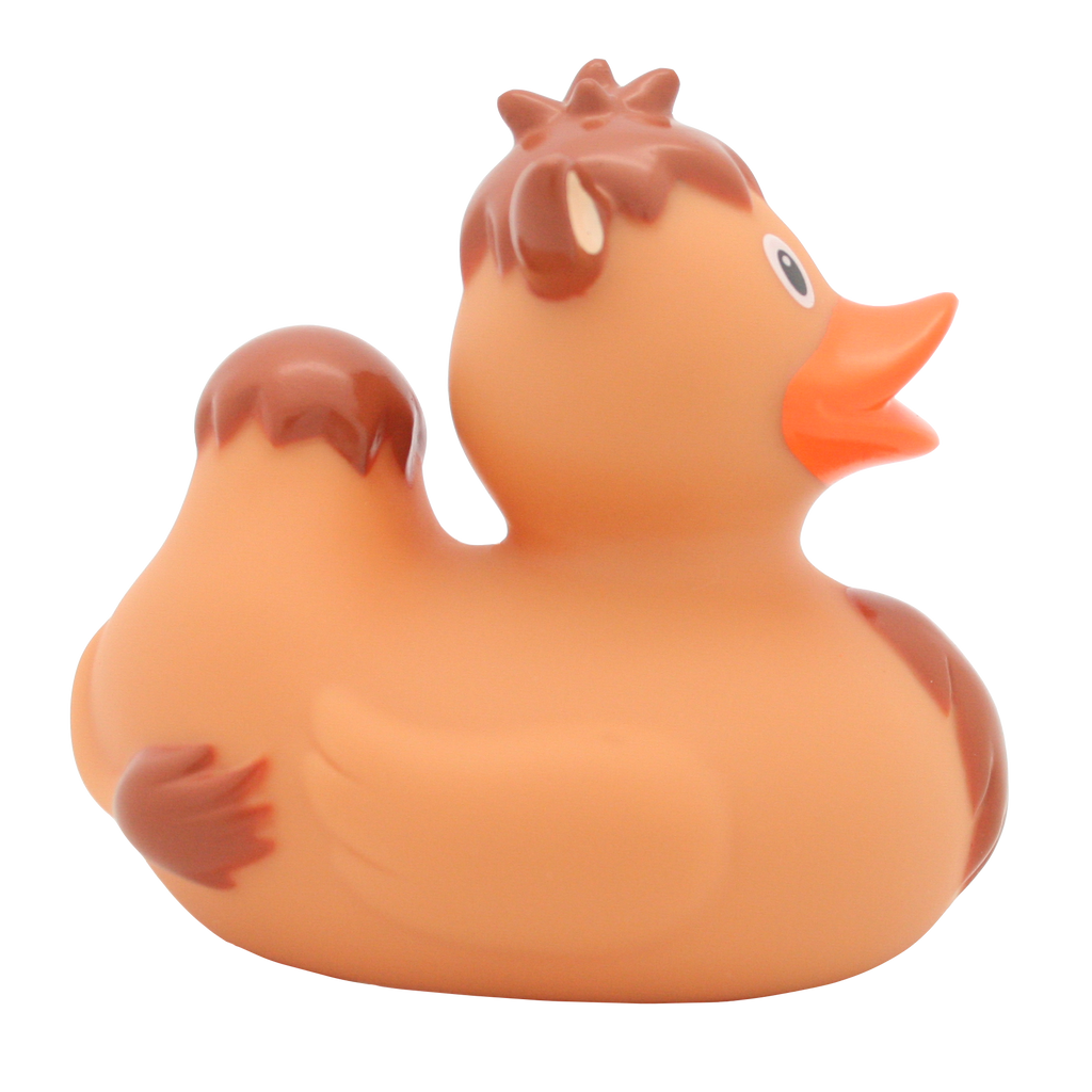 Kaczka wielbłądowa.