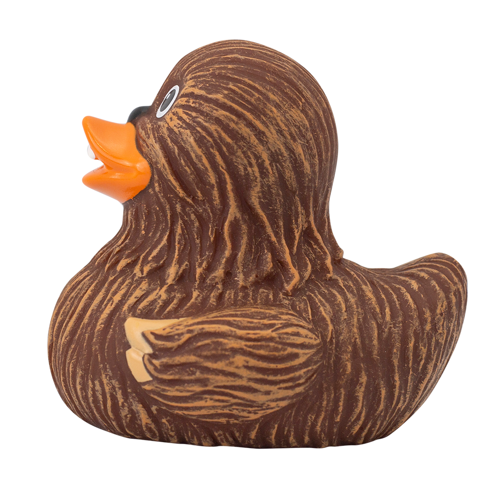 Chewie Duck.